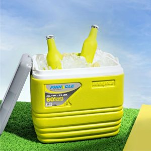 Frigobox Termus Ushqimor Primero 25L 30 Kanace PINNACLE TPX7006