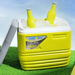 Frigobox Termus Ushqimor 10L 12 Kanace TPX7013 PINNACLE